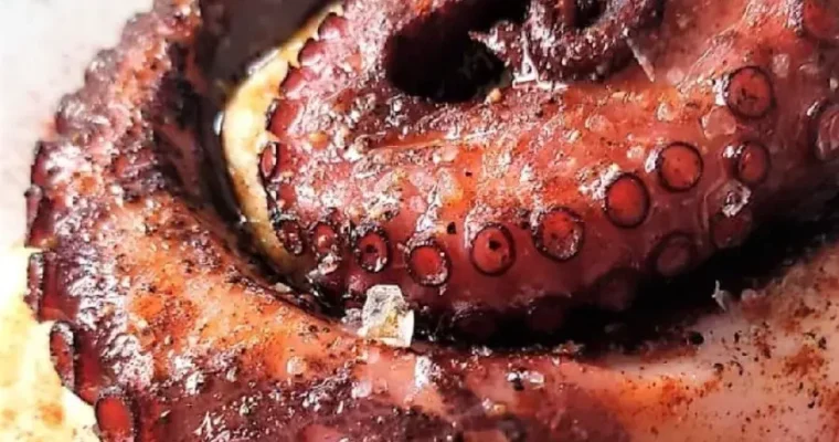 Octopus for air fryer