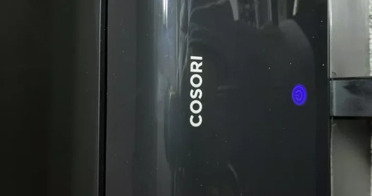 FC chips for air fryer