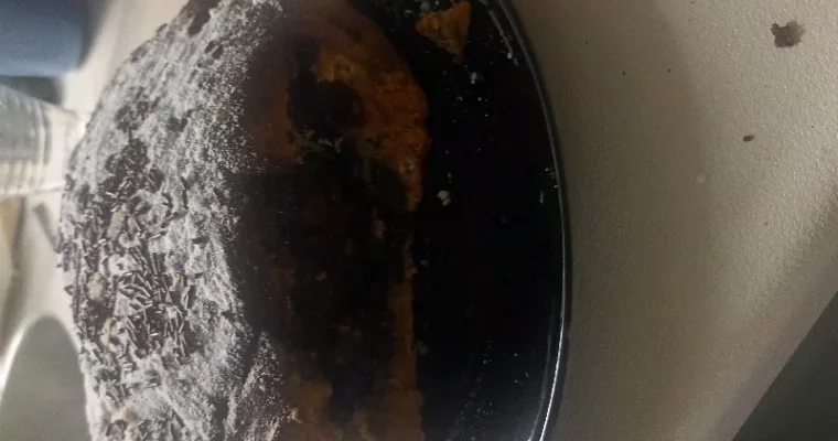 Chocolate biscocho for air fryer